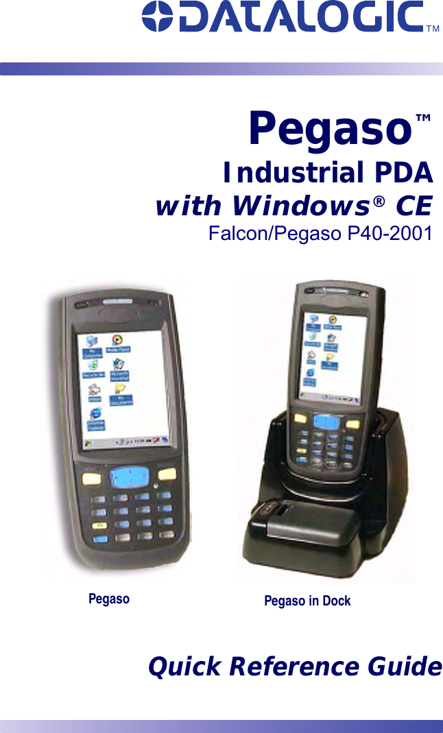 Quick Reference GuidePegaso™Industrial PDAwith Windows® CEPegaso Pegaso in DockFalcon/Pegaso P40-2001