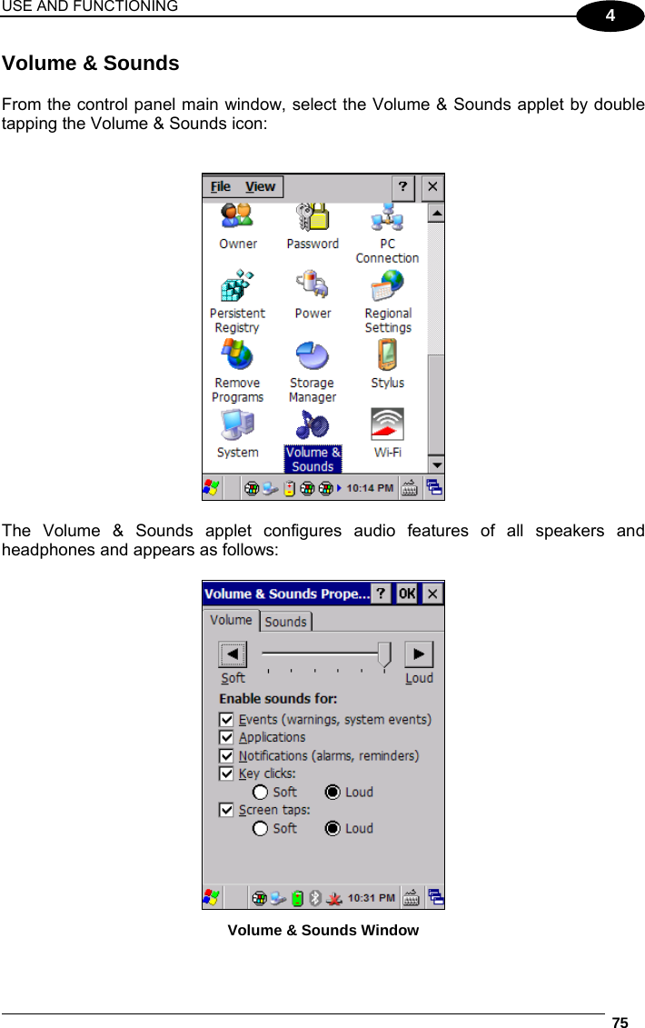 USE AND FUNCTIONING  75  4 Volume &amp; Sounds  From the control panel main window, select the Volume &amp; Sounds applet by double tapping the Volume &amp; Sounds icon:     The Volume &amp; Sounds applet configures audio features of all speakers and headphones and appears as follows:   Volume &amp; Sounds Window 