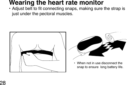 28• Adjust belt to t connecting snaps, making sure the strap is just under the pectoral muscles. Wearing the heart rate monitor•  When not in use disconnect the snap to ensure  long battery life.