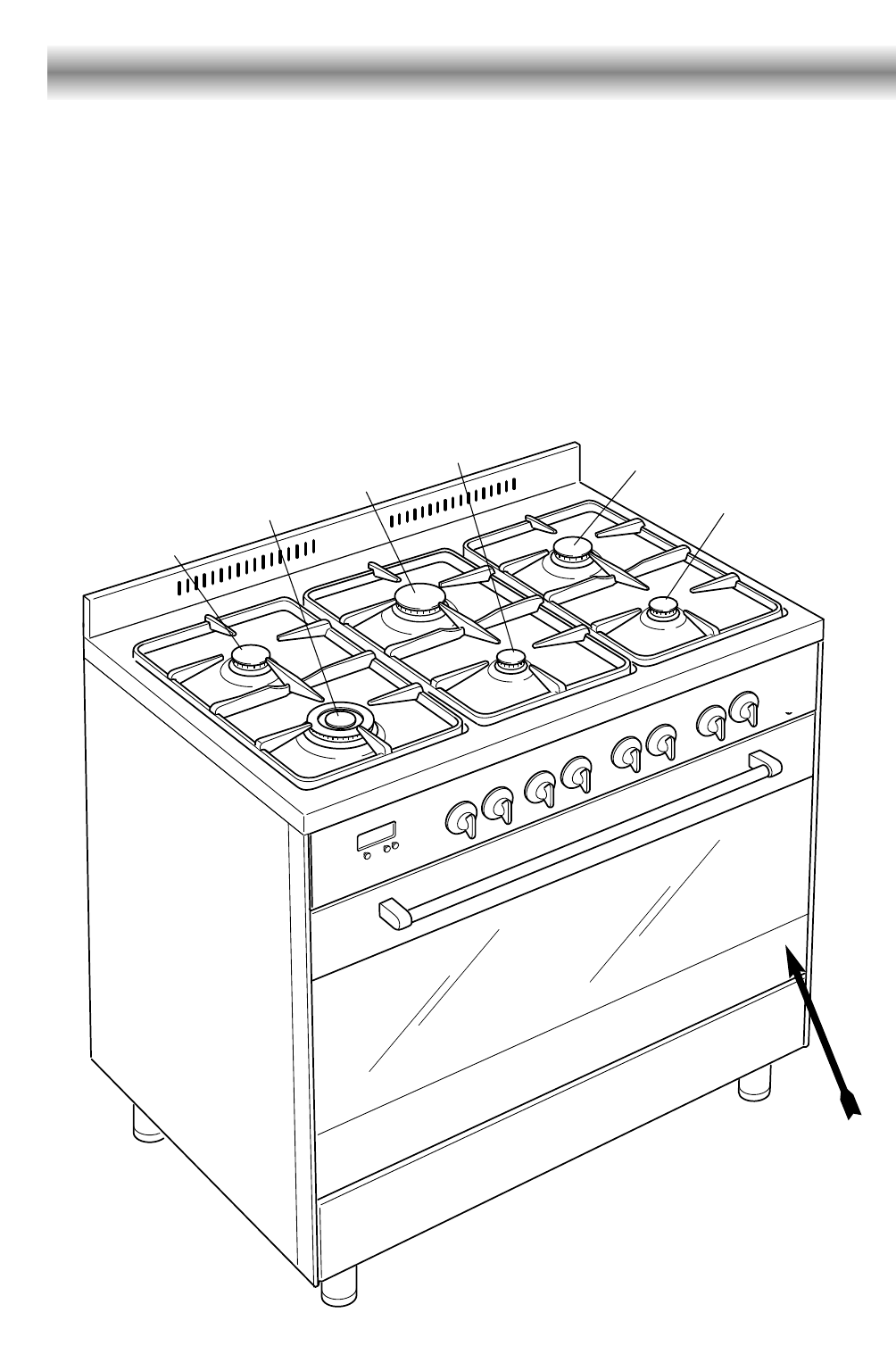 Delonghi Dfs 903 Users Manual 