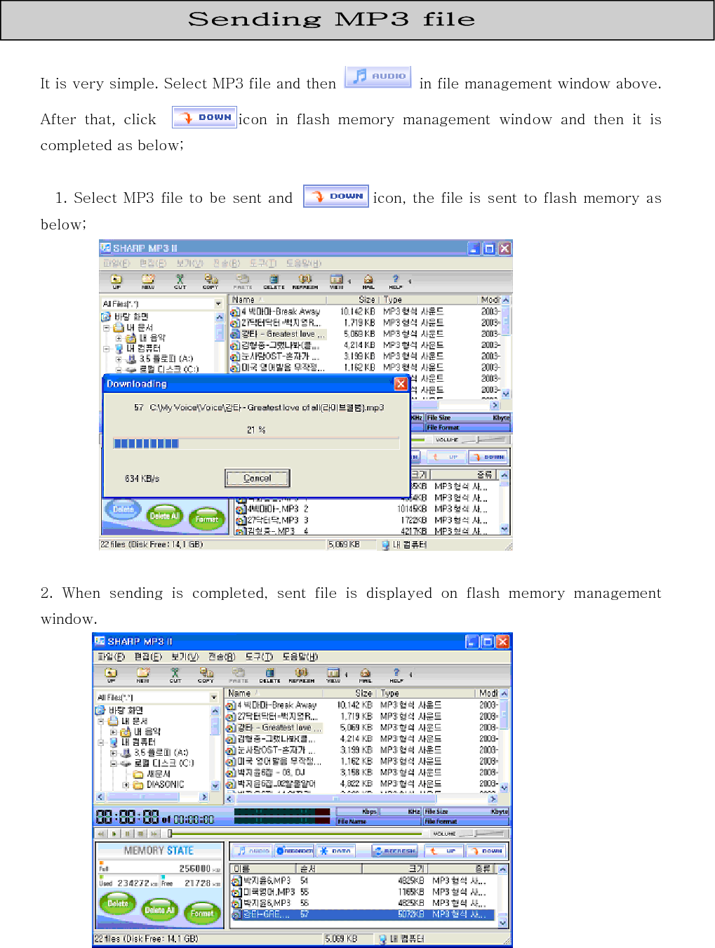      ☞  Only  *.MP3  and  *.WMA  file  can  be  sent  to  music  folder  of  MP3 player and *.DMP to voice folder. And various files with various kinds of extender can be stored in data folder.     ☞  Caution: Do not disconnect USB cable during sending file.                                