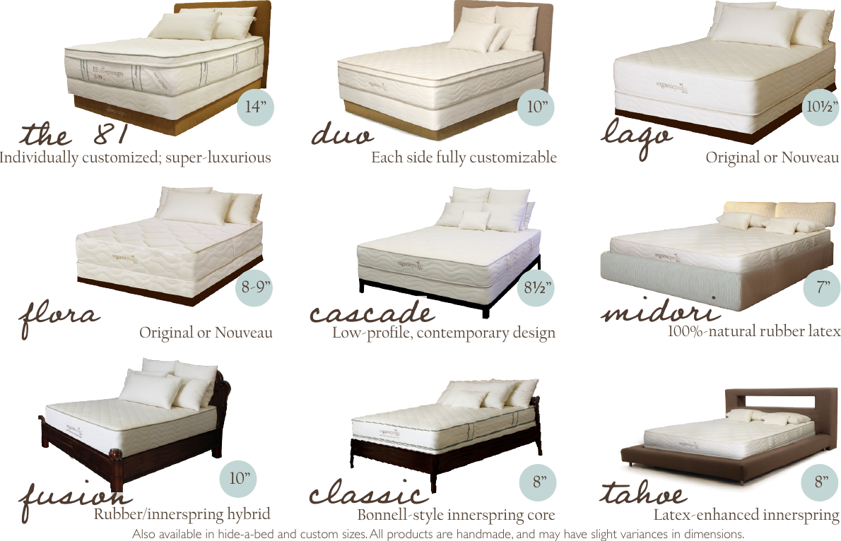 Page 5 of 8 - Consumerbrochure