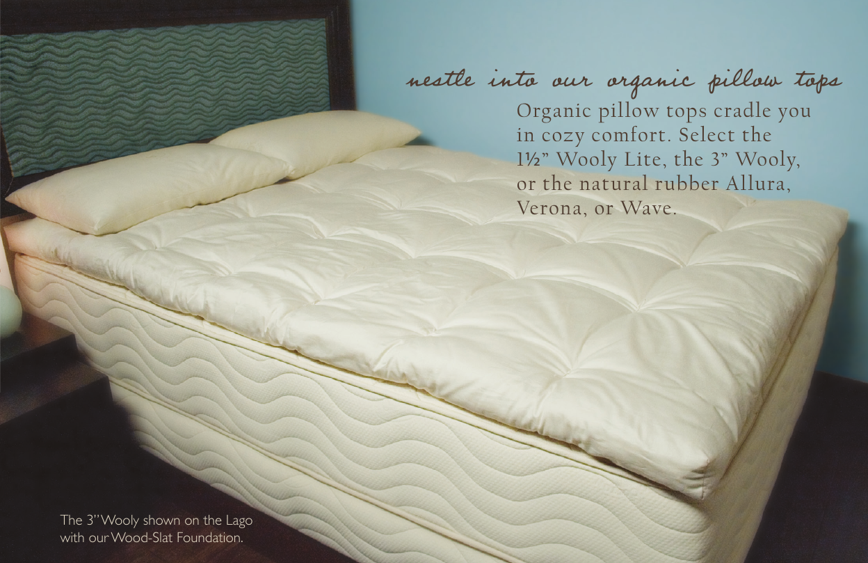 Page 7 of 8 - Consumerbrochure