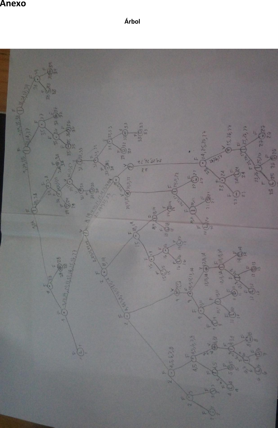 Page 8 of 10 - MANUAL TECNICO