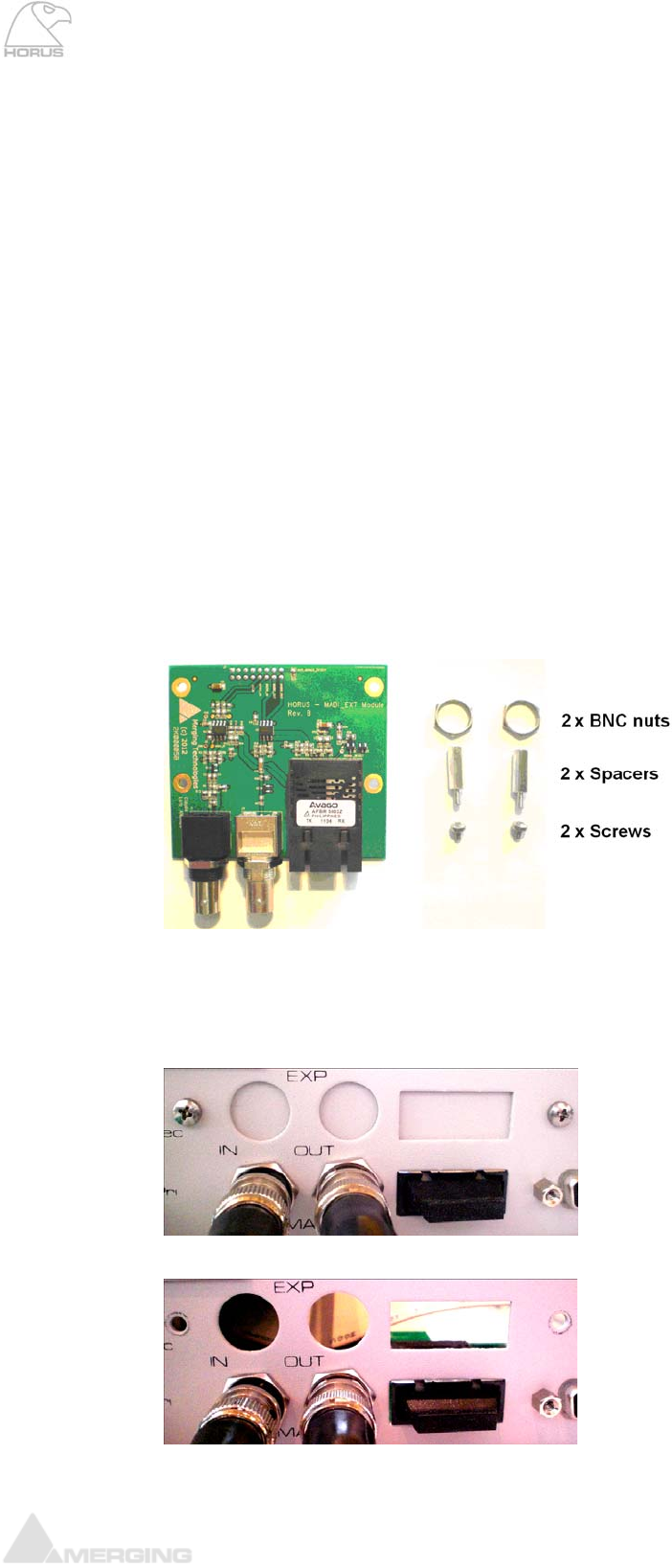 Merging Horus Manual