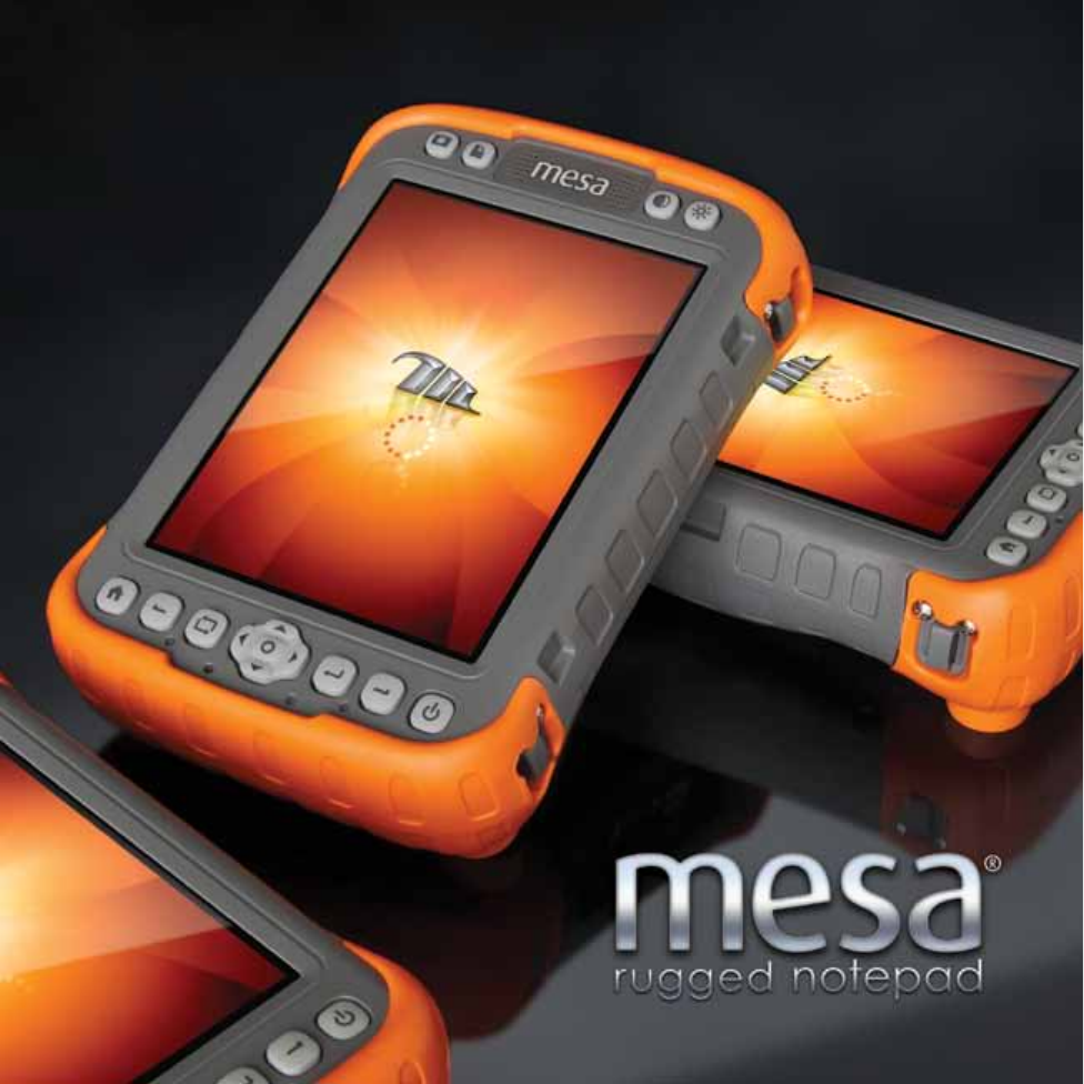 Page 1 of 6 - Mesa Brochure