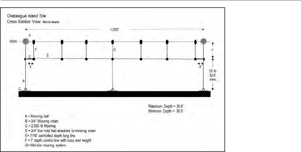 Ocean Approved Kelp Manual Low Rez 255b1 255d