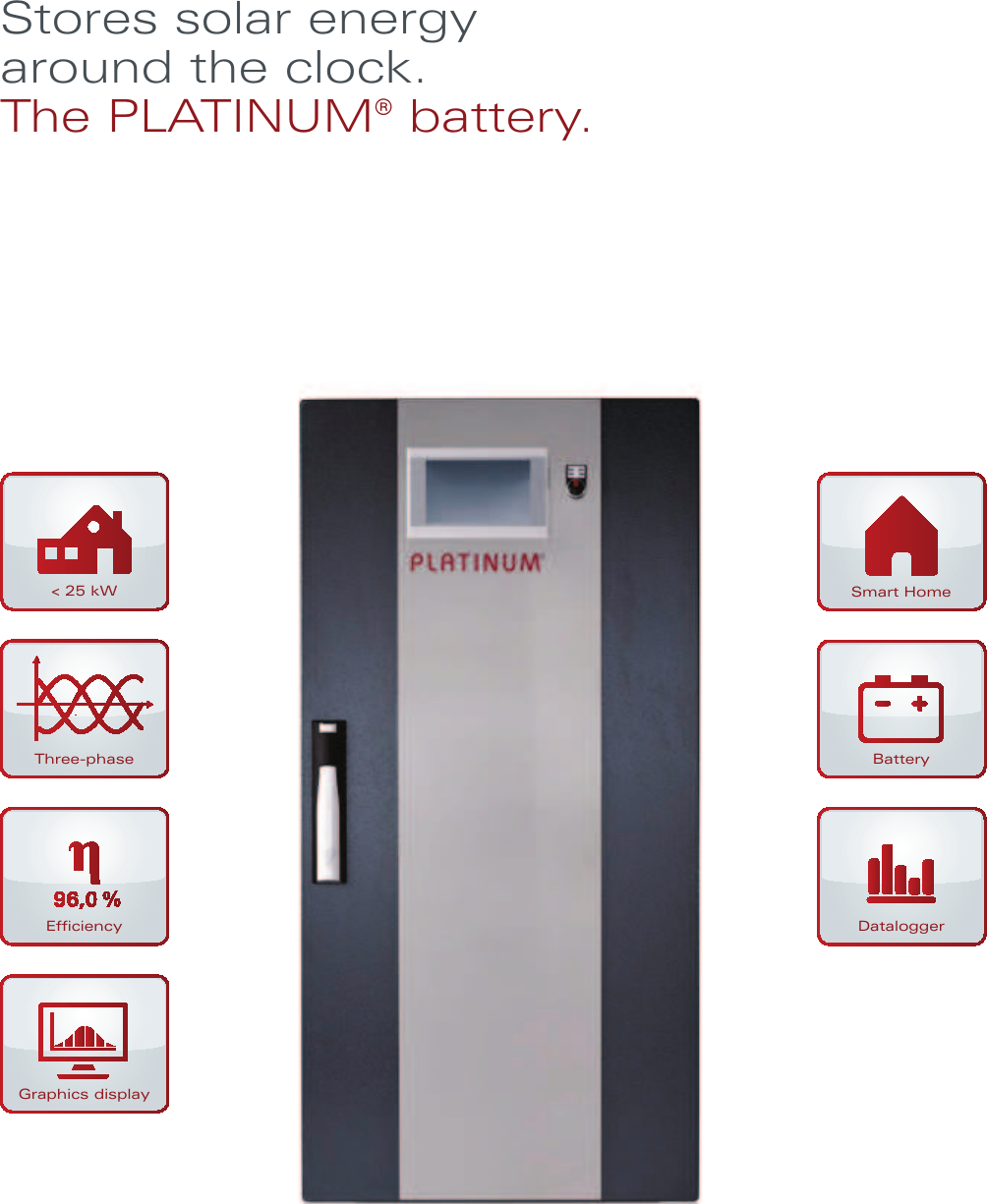 Page 1 of 2 - PLATINUM Battery Lithium