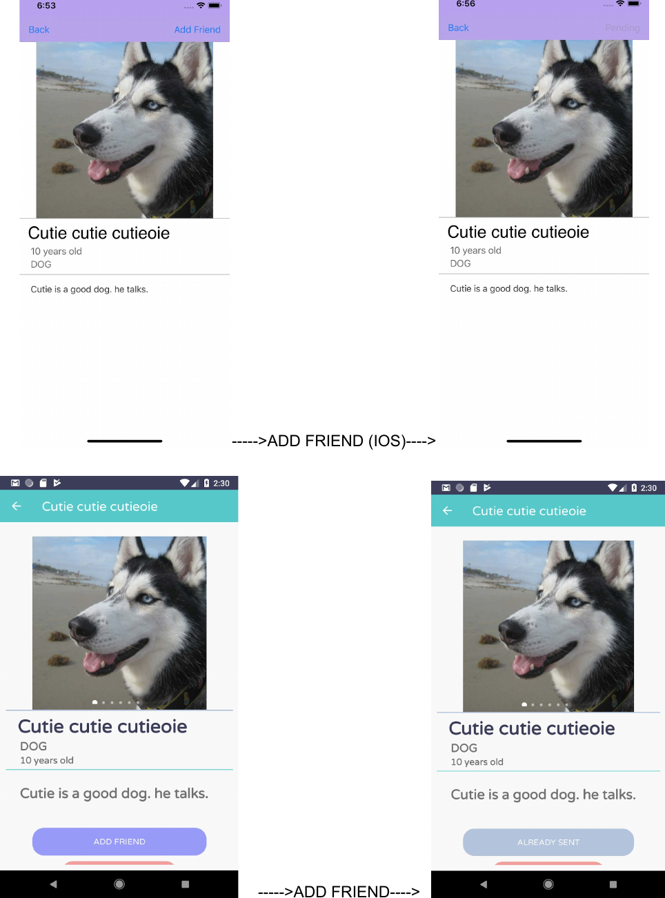 Page 7 of 11 - Pet Clump Installation Guide : User Manual