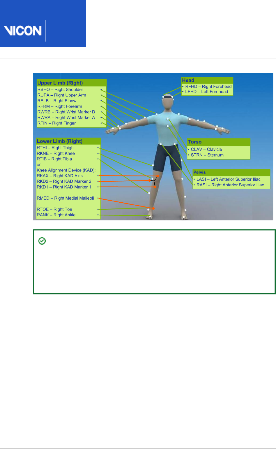 Plug In Gait Reference Guide