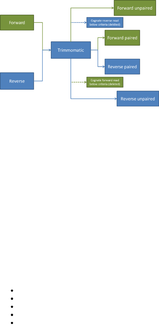Trimmomatic Manual V0.32