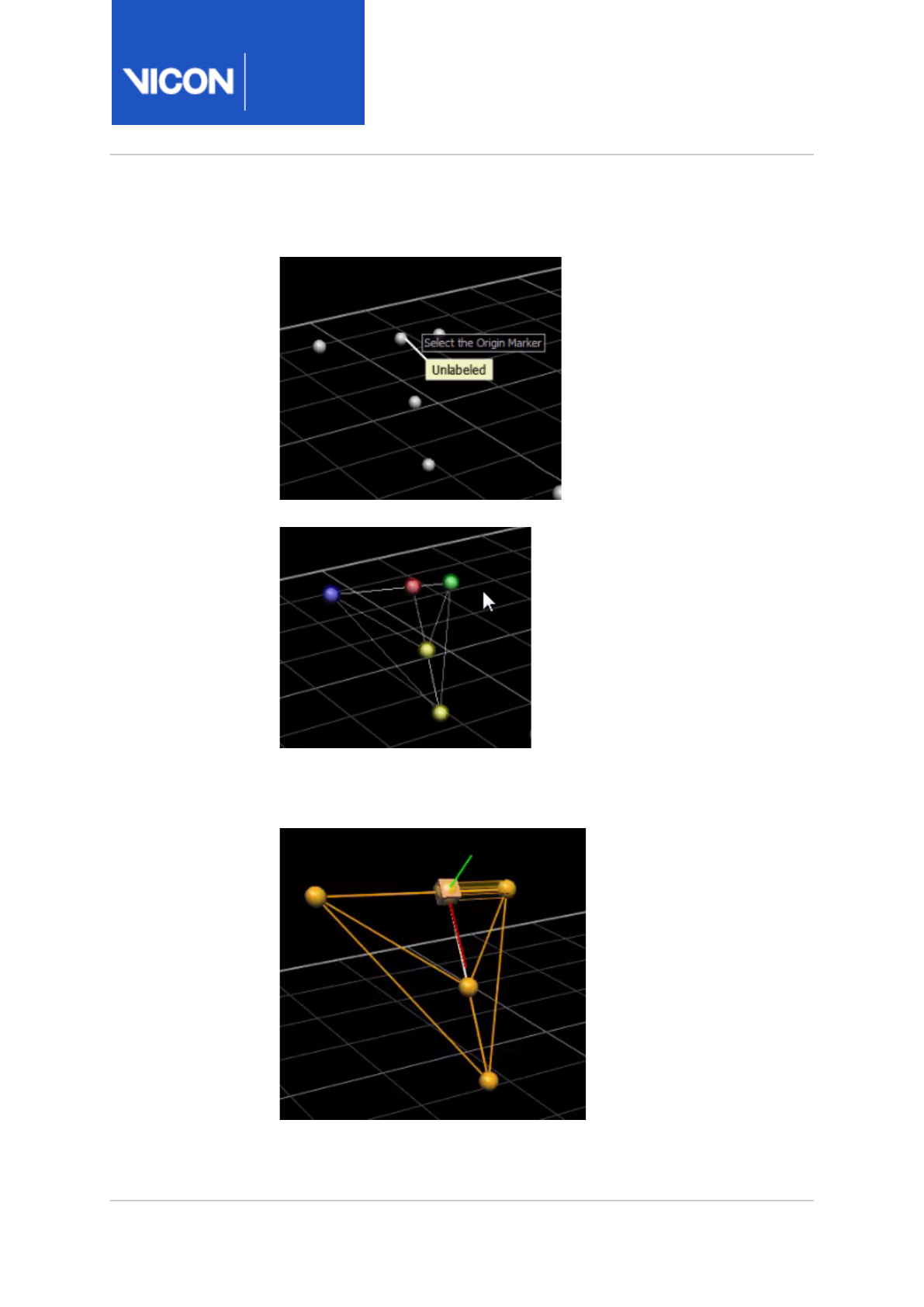 Vicon Nexus Reference Guide