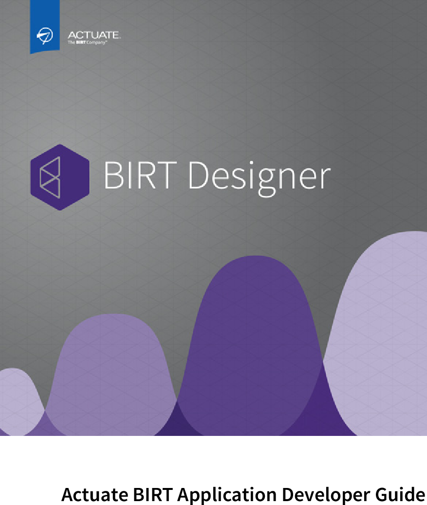 Actuate Birt Application Developer Guide