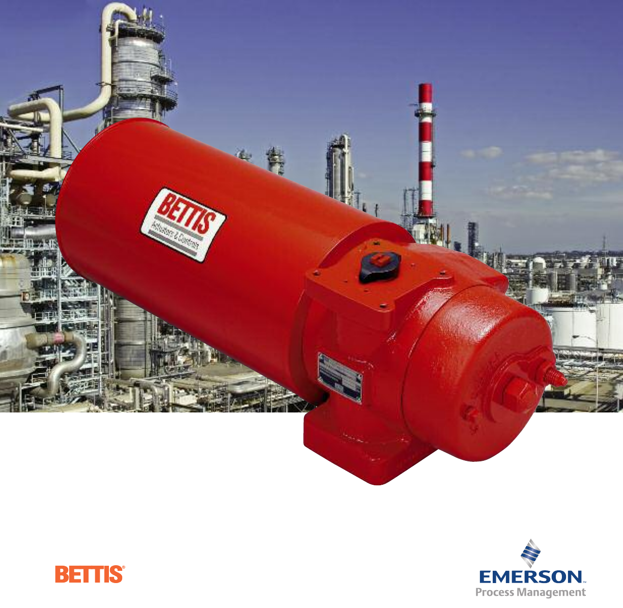 CBA 300 SR80 Bettis Cba300 Ds