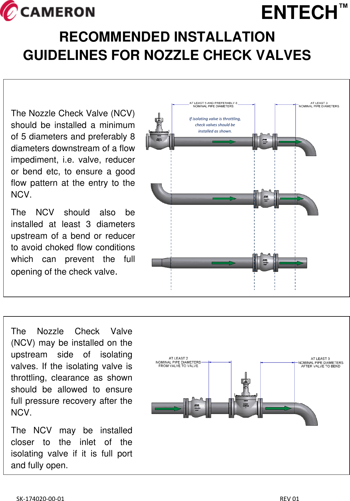 SK 174020 00 01x Entech nozzle check valve iom