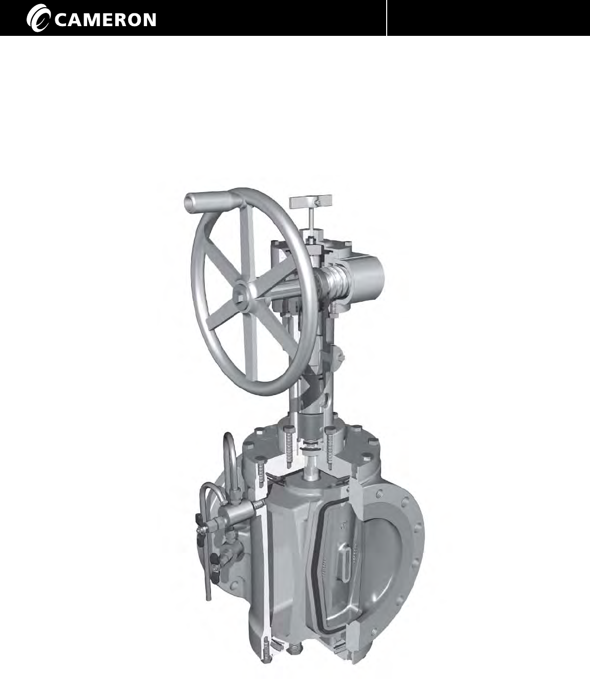 General valve twin seal plug iom japanese