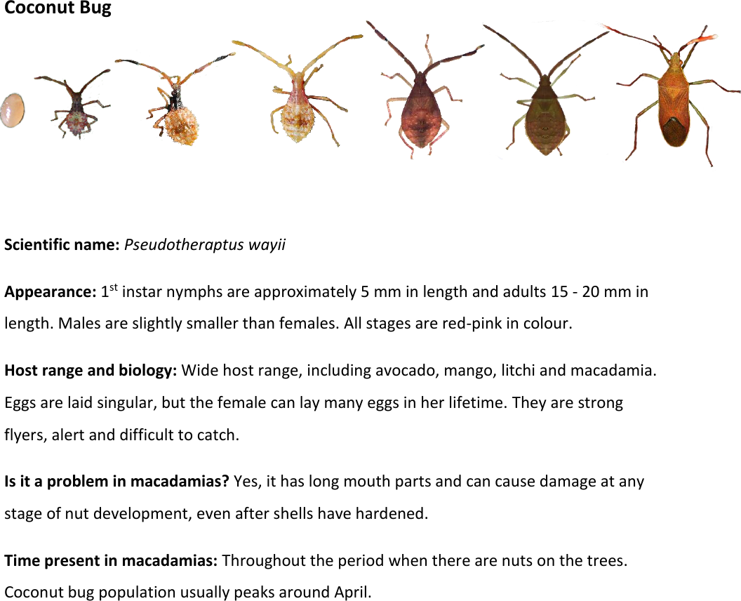 Page 2 of 9 - Pest-guide-doc