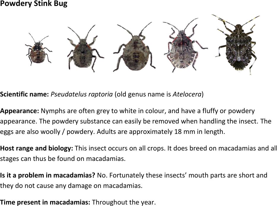 Page 7 of 9 - Pest-guide-doc