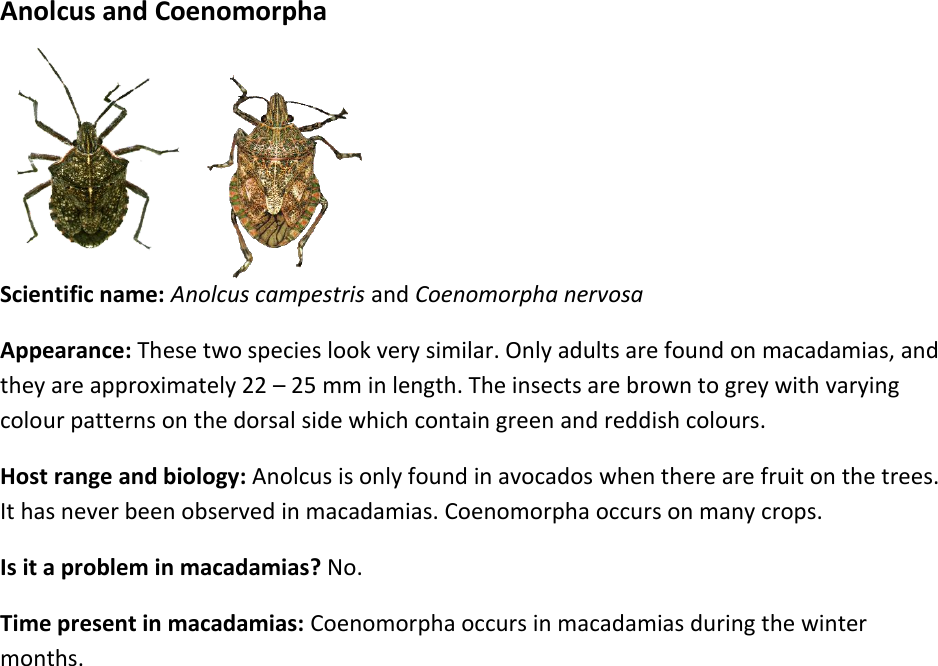 Page 8 of 9 - Pest-guide-doc