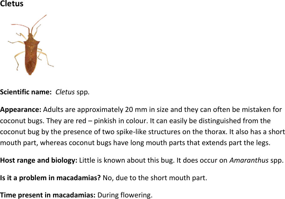 Page 9 of 9 - Pest-guide-doc