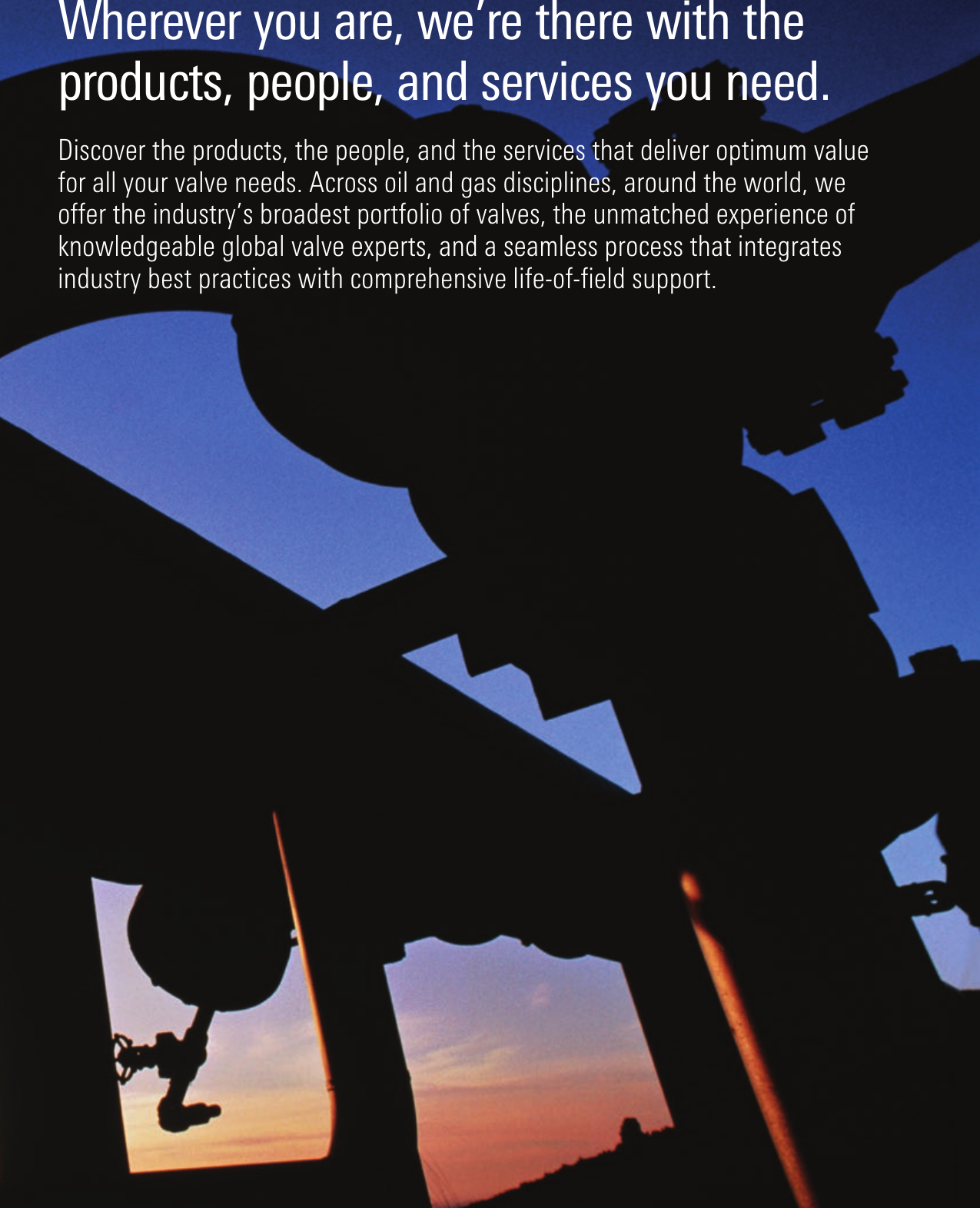 Page 3 of 12 - Valve-expertise-brochure