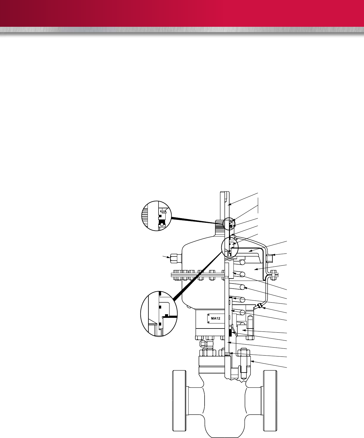 Wkm saf t seal gate valves