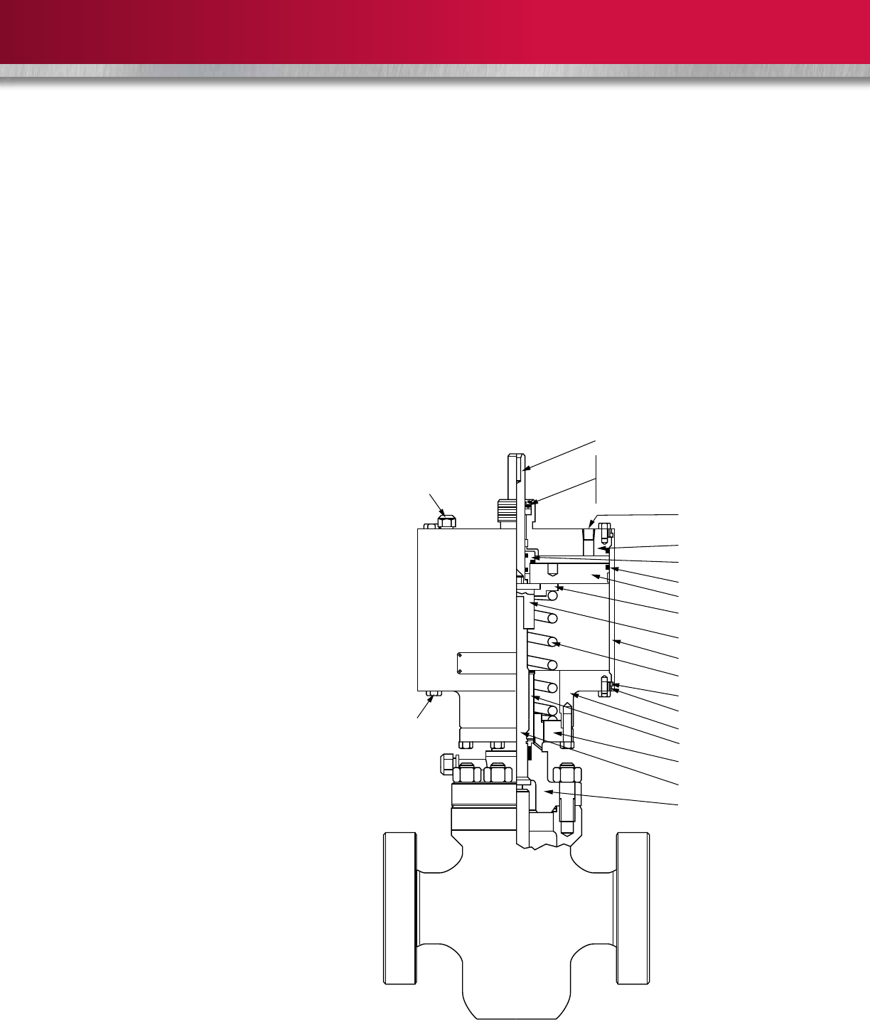 Wkm saf t seal gate valves