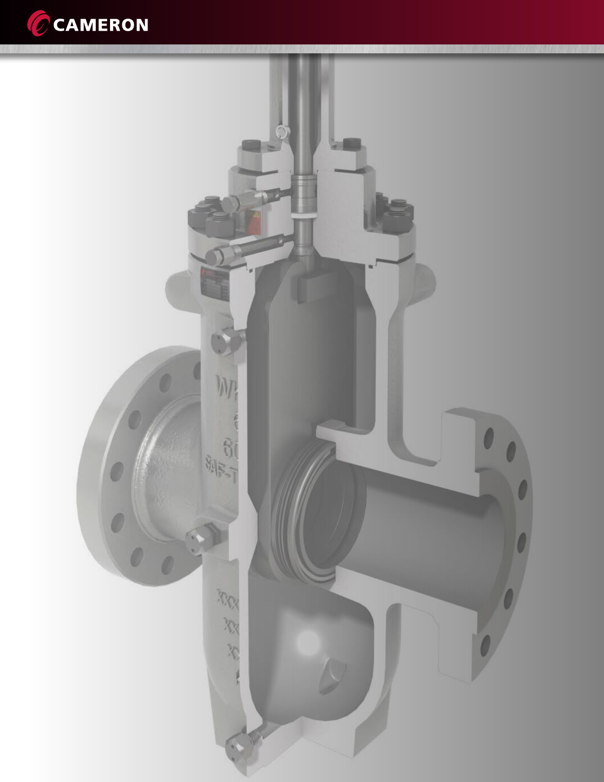 Wkm saf t seal gate valves