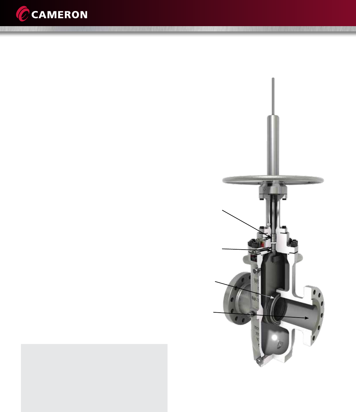 Wkm saf t seal gate valves