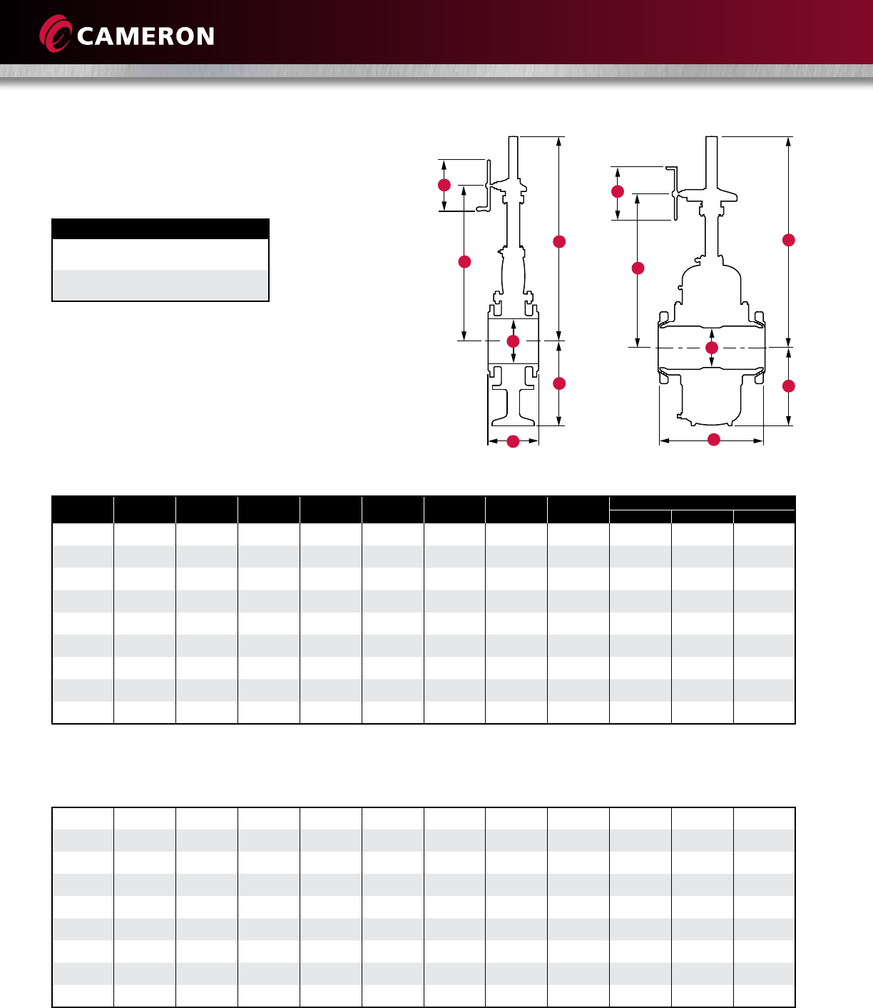 Wkm saf t seal gate valves