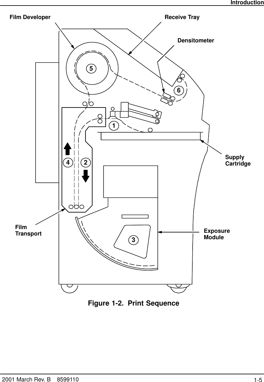 Introduction1-5 2001 March Rev. B    8599110123456SupplyCartridgeReceive TrayDensitometerFilm DeveloperExposureModuleFilmTransportFigure 1-2. Print Sequence