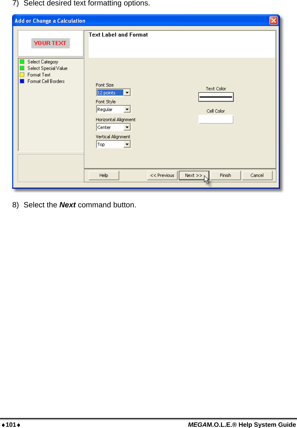 101 MEGAM.O.L.E.® Help System Guide  7)  Select desired text formatting options.  8) Select the Next command button. 