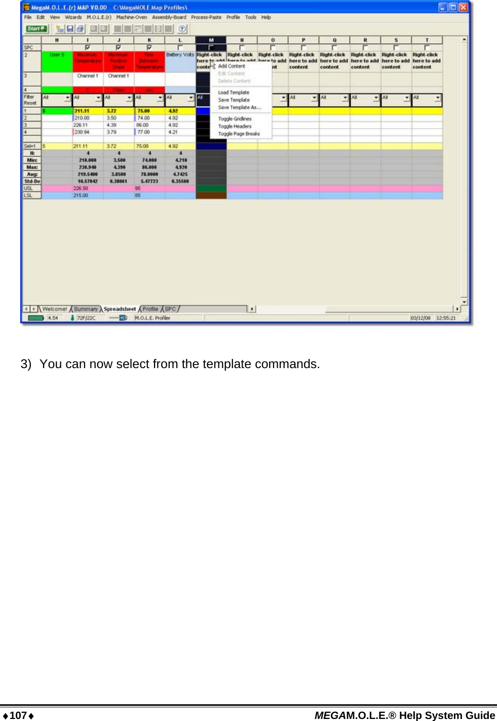 107 MEGAM.O.L.E.® Help System Guide    3)  You can now select from the template commands.  