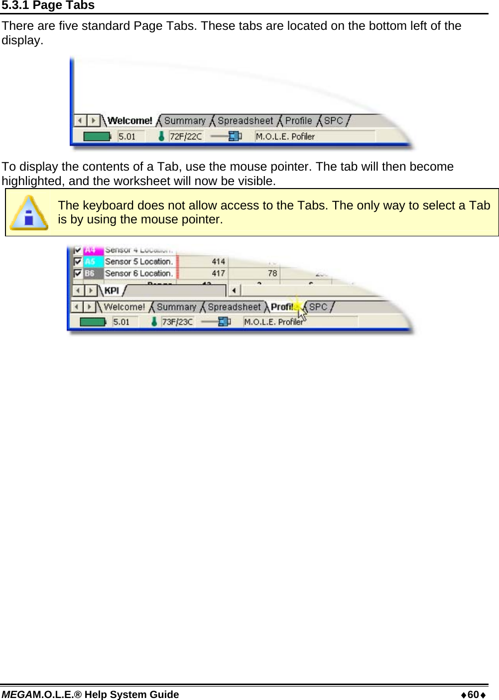 MEGAM.O.L.E.® Help System Guide  60 5.3.1 Page Tabs There are five standard Page Tabs. These tabs are located on the bottom left of the display.  To display the contents of a Tab, use the mouse pointer. The tab will then become highlighted, and the worksheet will now be visible.  The keyboard does not allow access to the Tabs. The only way to select a Tab is by using the mouse pointer.   