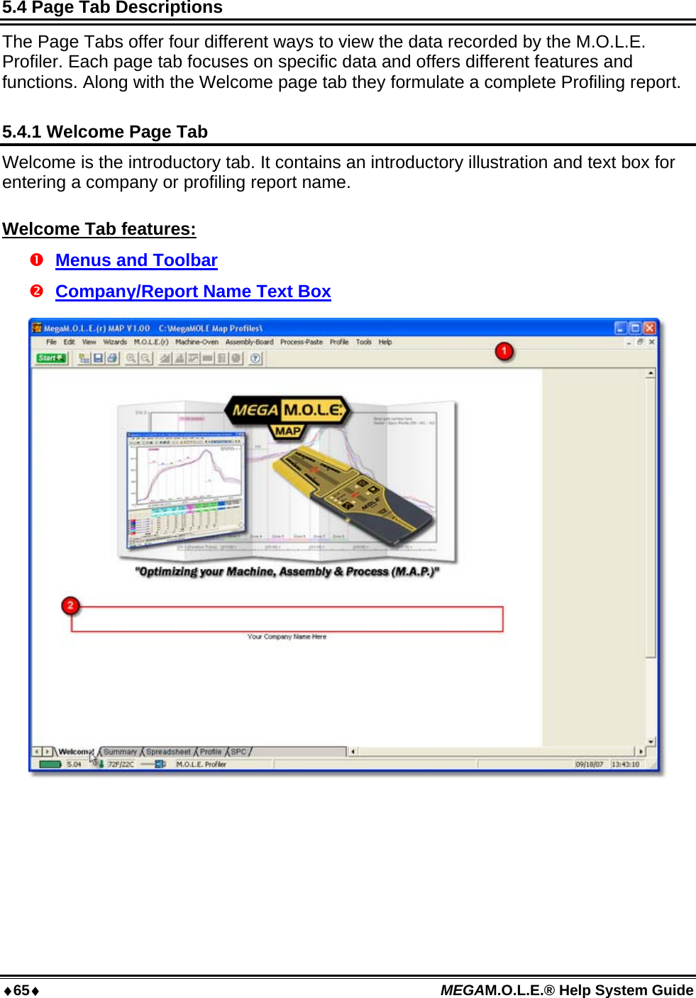 65 MEGAM.O.L.E.® Help System Guide  5.4 Page Tab Descriptions The Page Tabs offer four different ways to view the data recorded by the M.O.L.E. Profiler. Each page tab focuses on specific data and offers different features and functions. Along with the Welcome page tab they formulate a complete Profiling report.  5.4.1 Welcome Page Tab  Welcome is the introductory tab. It contains an introductory illustration and text box for entering a company or profiling report name.  Welcome Tab features:  Menus and Toolbar  Company/Report Name Text Box   