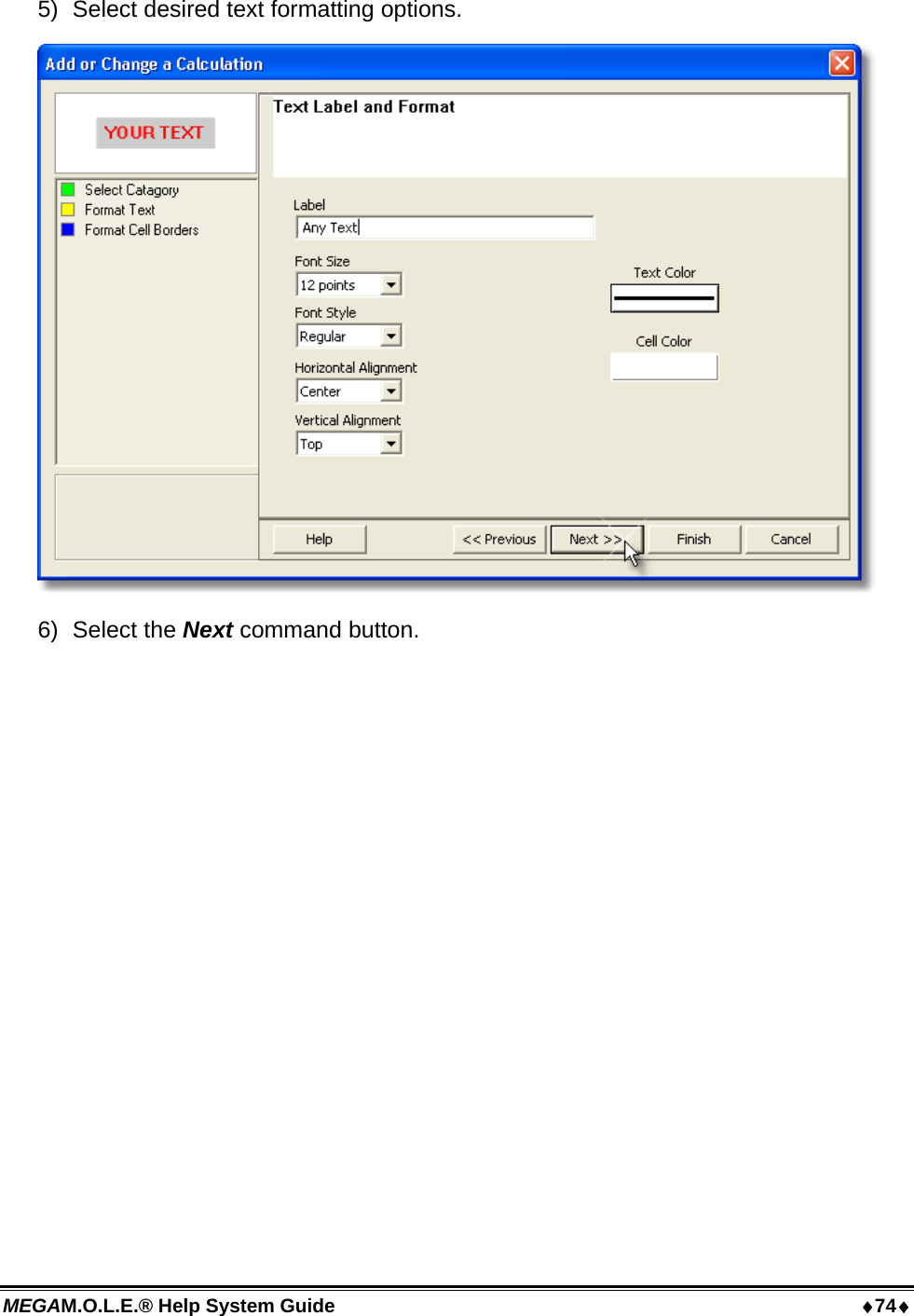 MEGAM.O.L.E.® Help System Guide  74 5)  Select desired text formatting options.  6) Select the Next command button. 