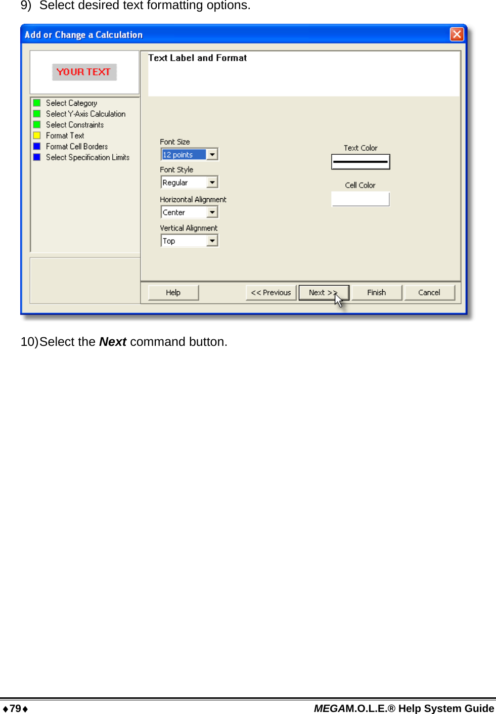 79 MEGAM.O.L.E.® Help System Guide  9)  Select desired text formatting options.  10) Select  the  Next command button. 