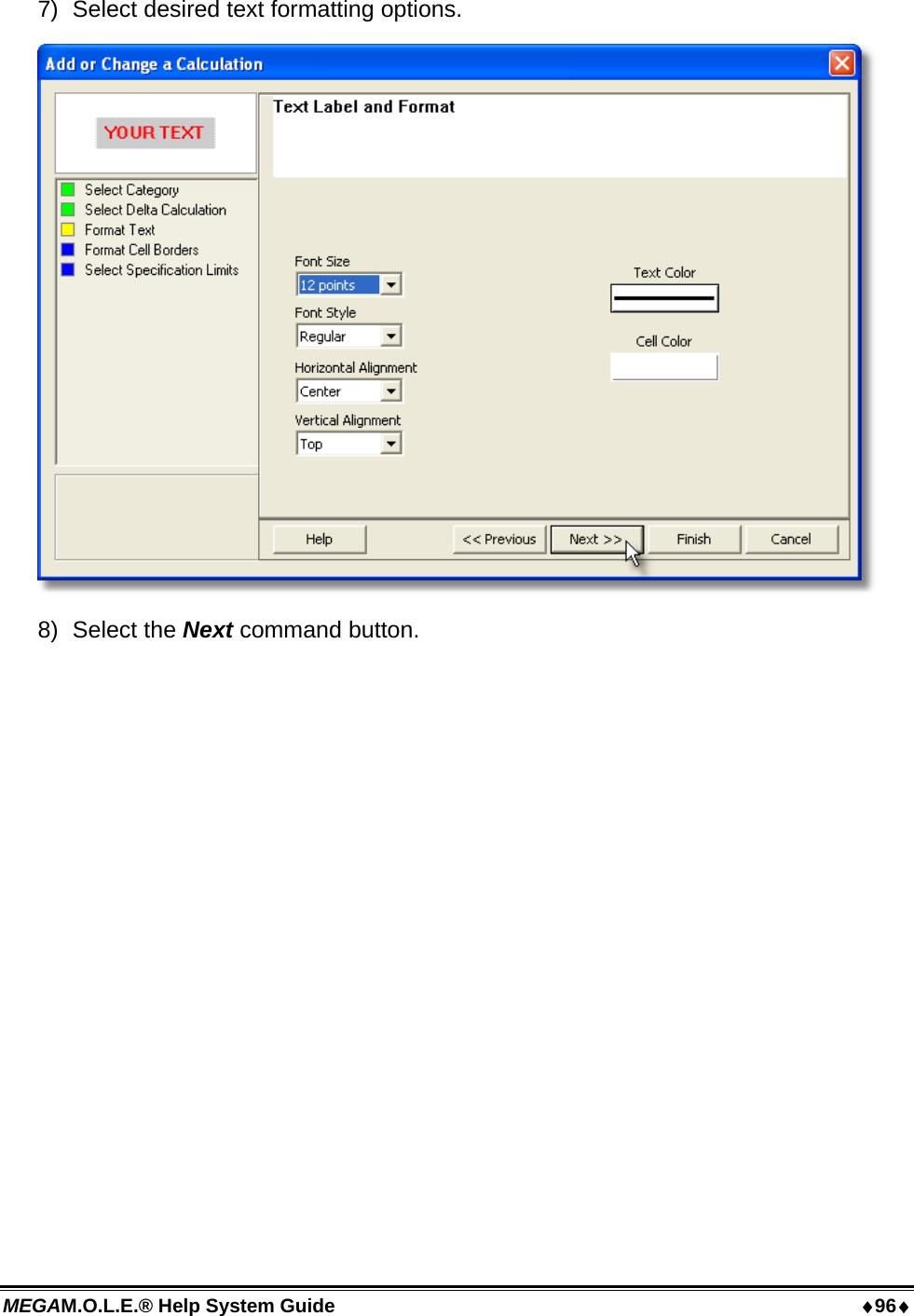 MEGAM.O.L.E.® Help System Guide  96 7)  Select desired text formatting options.  8) Select the Next command button. 