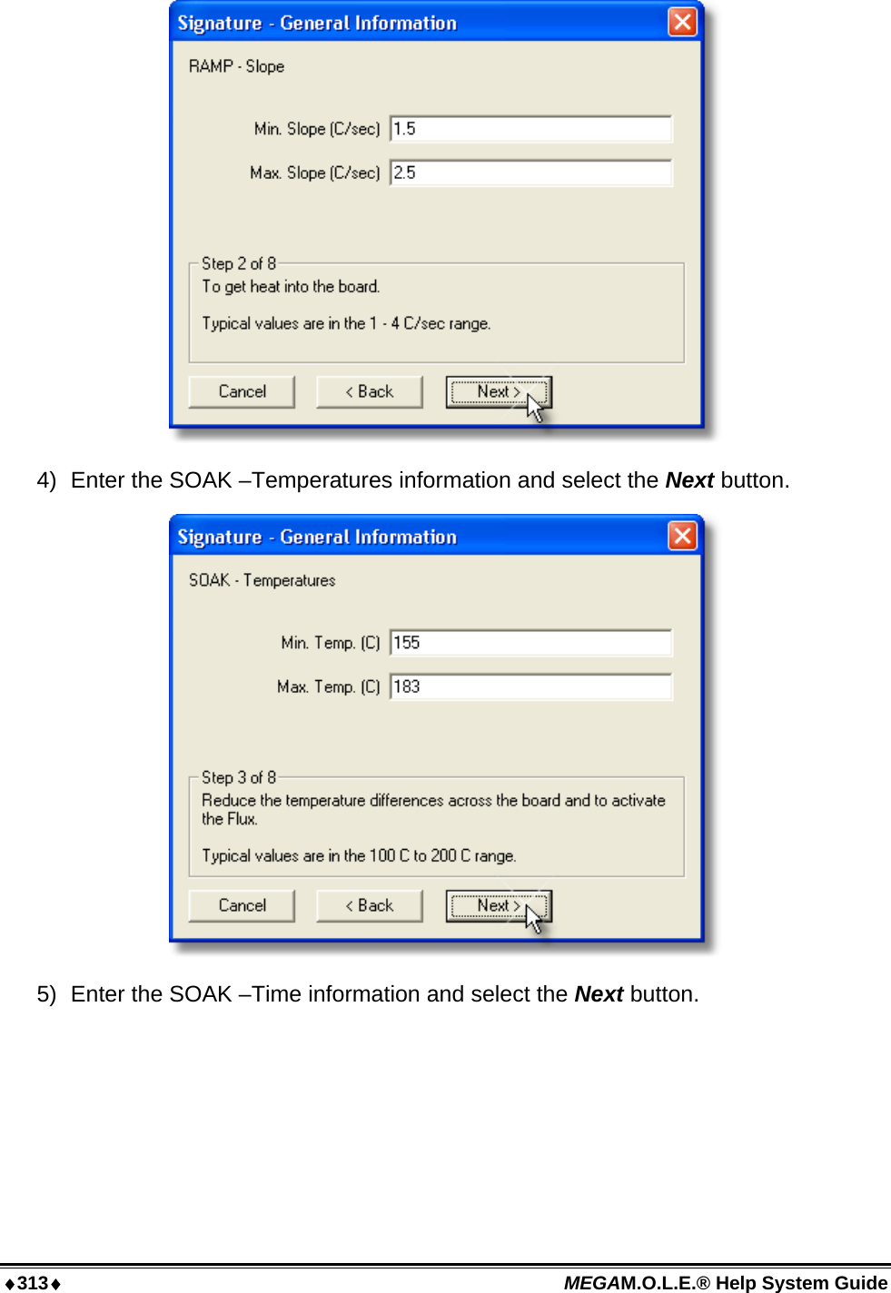 ♦313♦ MEGAM.O.L.E.® Help System Guide   4)  Enter the SOAK –Temperatures information and select the Next button.  5)  Enter the SOAK –Time information and select the Next button. 