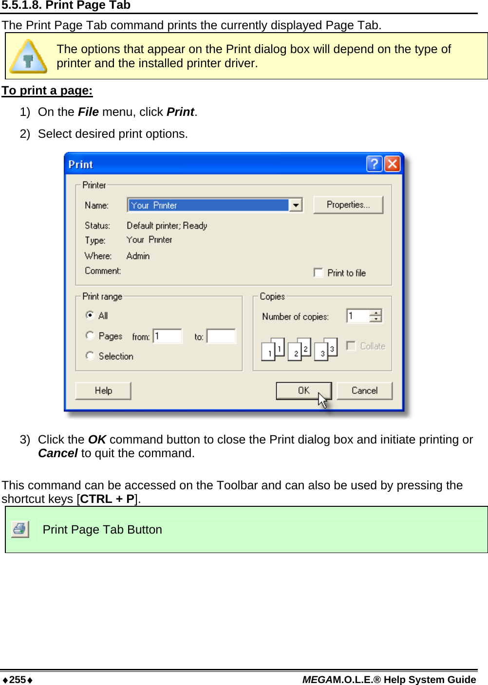 ♦255♦ MEGAM.O.L.E.® Help System Guide  5.5.1.8. Print Page Tab The Print Page Tab command prints the currently displayed Page Tab.   The options that appear on the Print dialog box will depend on the type of printer and the installed printer driver. To print a page: 1) On the File menu, click Print. 2)  Select desired print options.  3) Click the OK command button to close the Print dialog box and initiate printing or Cancel to quit the command.  This command can be accessed on the Toolbar and can also be used by pressing the shortcut keys [CTRL + P].  Print Page Tab Button  