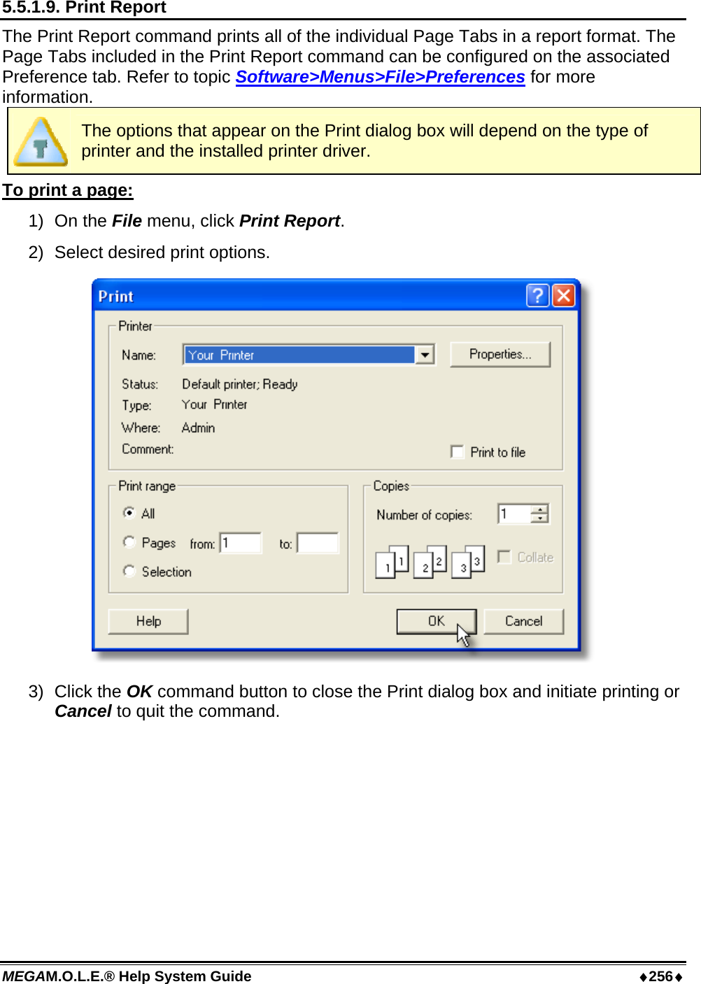 MEGAM.O.L.E.® Help System Guide  ♦256♦ 5.5.1.9. Print Report The Print Report command prints all of the individual Page Tabs in a report format. The Page Tabs included in the Print Report command can be configured on the associated Preference tab. Refer to topic Software&gt;Menus&gt;File&gt;Preferences for more information.  The options that appear on the Print dialog box will depend on the type of printer and the installed printer driver. To print a page: 1) On the File menu, click Print Report. 2)  Select desired print options.  3) Click the OK command button to close the Print dialog box and initiate printing or Cancel to quit the command.  