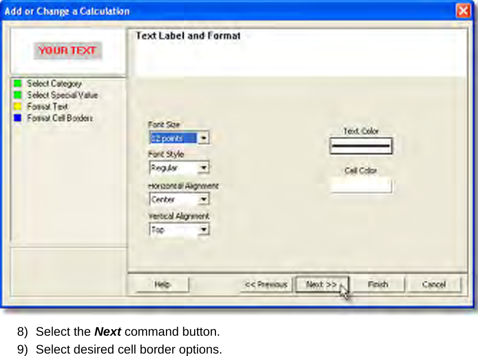        8) Select the Next command button. 9) Select desired cell border options. 