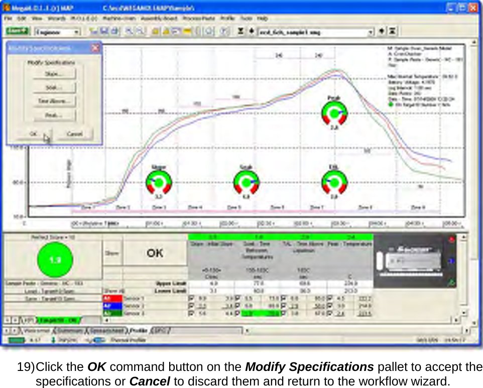        19) Click the OK command button on the Modify Specifications pallet to accept the specifications or Cancel to discard them and return to the workflow wizard. 