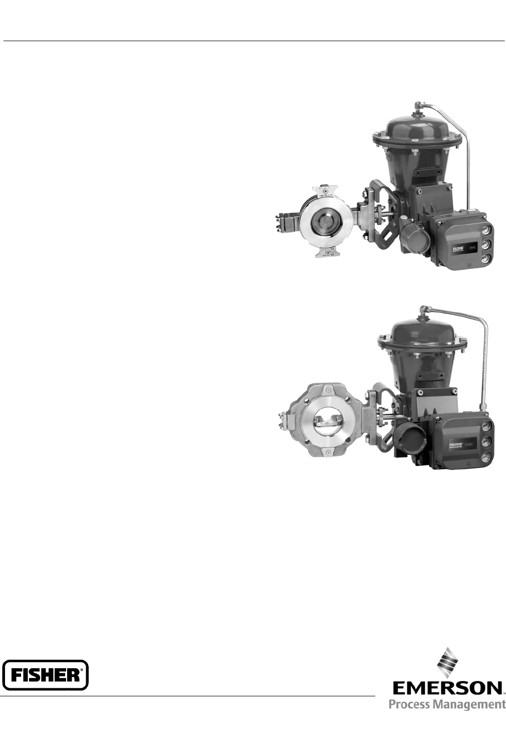 Emerson Fisher 8580 Data Sheet