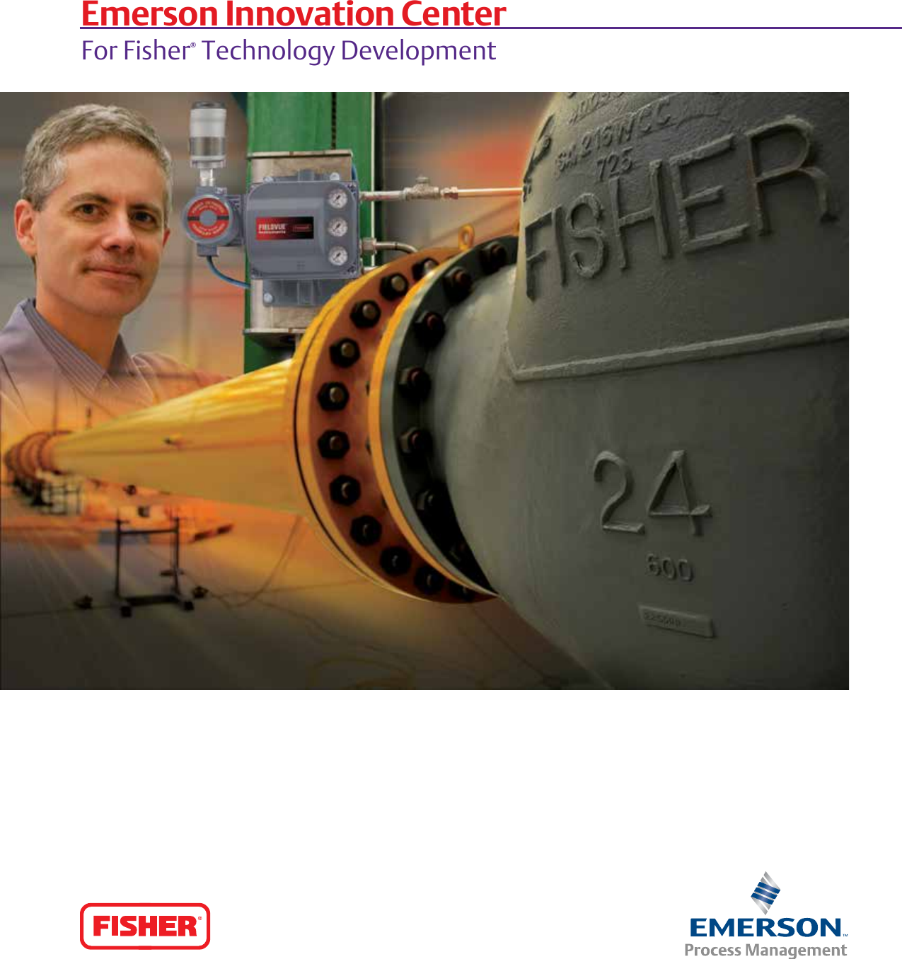 Emerson Fisher Control Disk Brochure