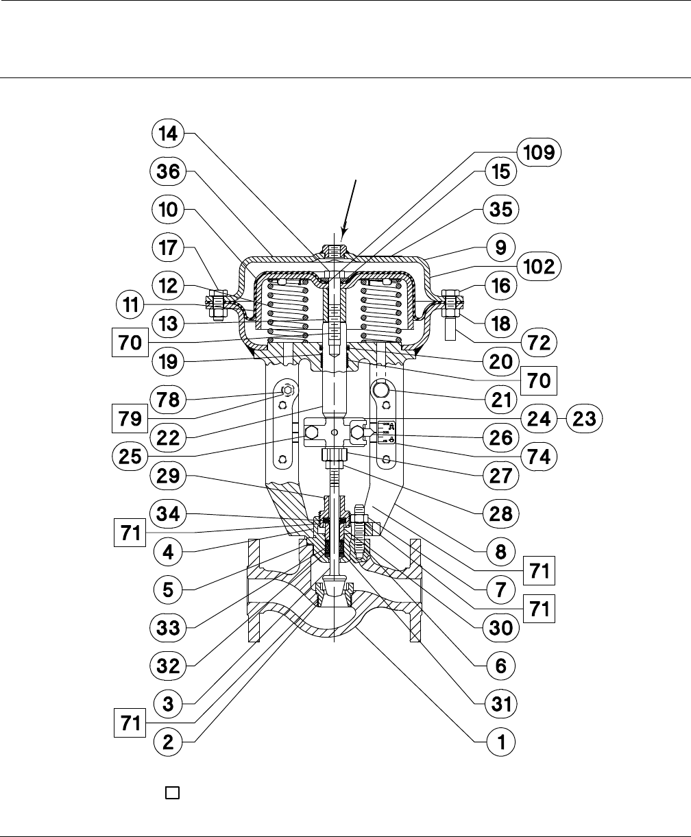 Emerson Fisher Gx Instruction Manual