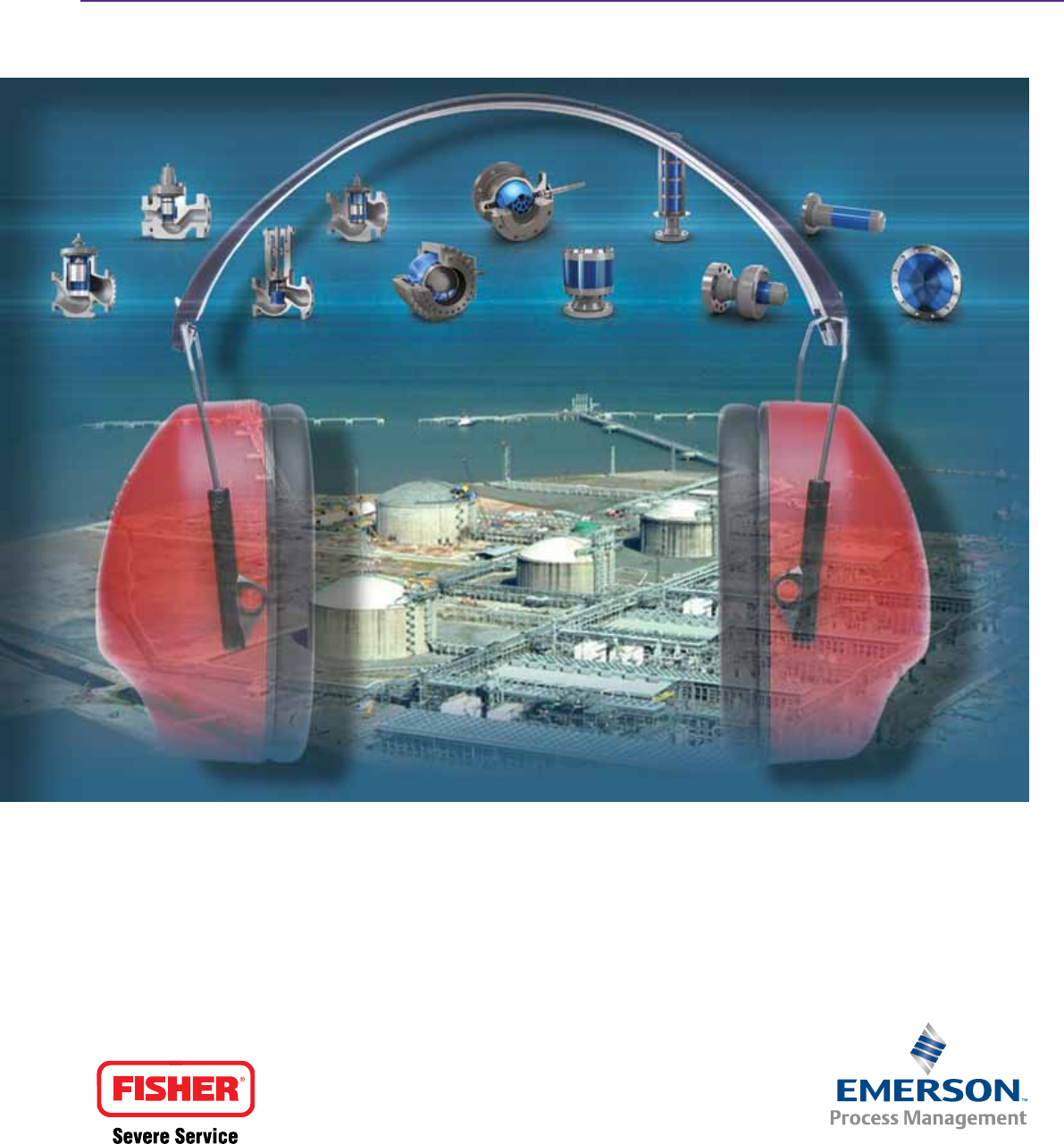 Emerson Fisher V260 Brochure