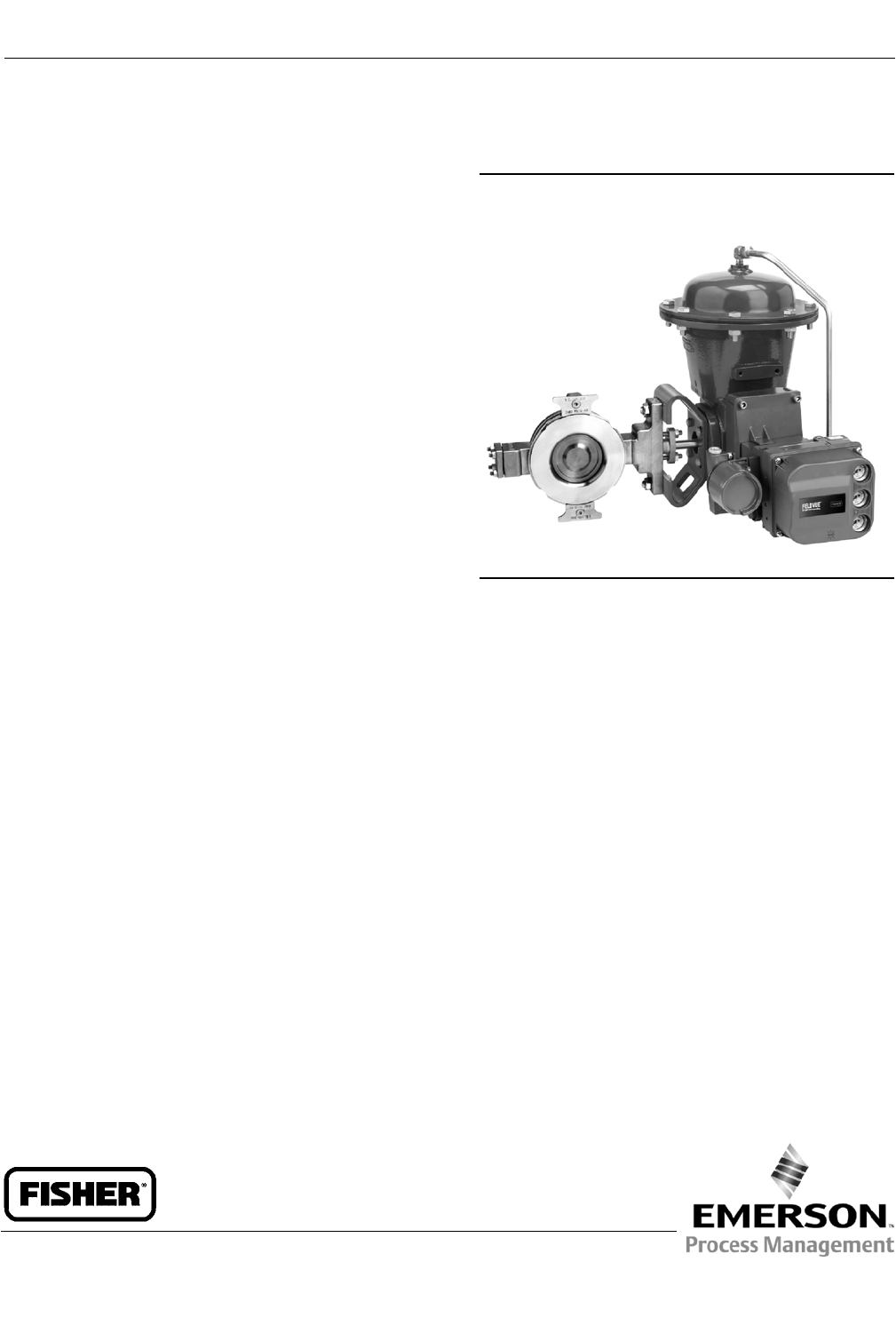 Emerson Fisher Vee Ball V150E Instruction Manual