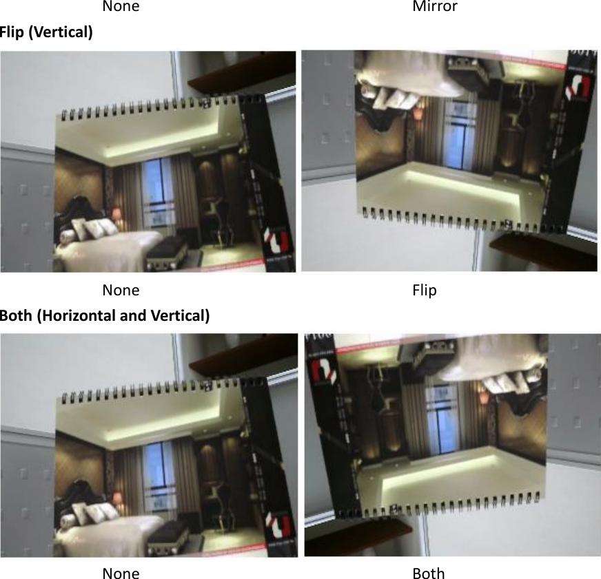       None                Mirror Flip (Vertical)  None                Flip Both (Horizontal and Vertical)        None                Both 