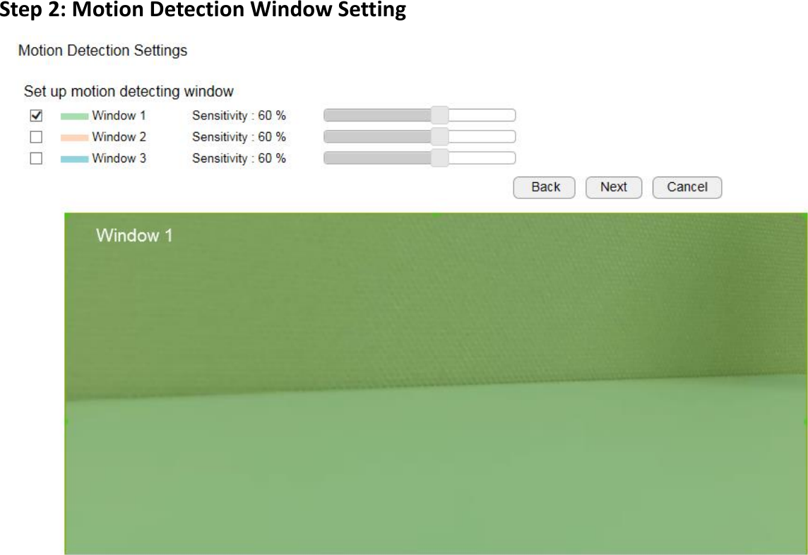 Step 2: Motion Detection Window Setting  